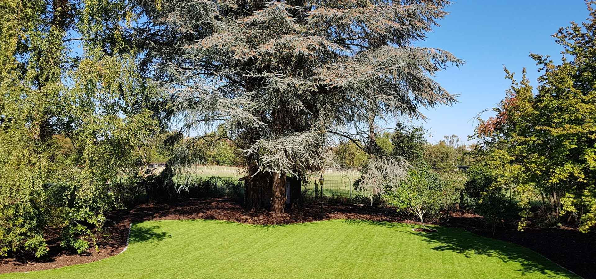 Gartenbau landschaftsbau garten baum